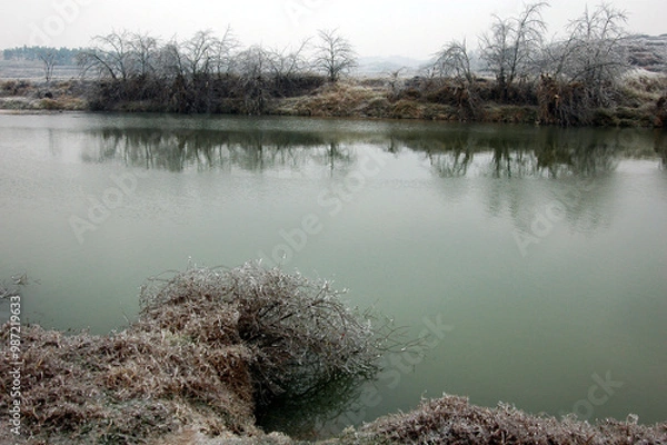 Obraz Snow and rime in rural China