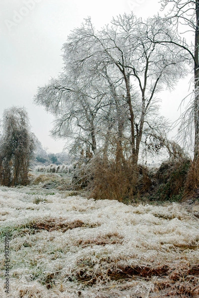 Obraz Snow and rime in rural China