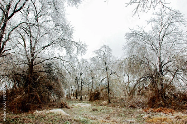 Obraz Snow and rime in rural China