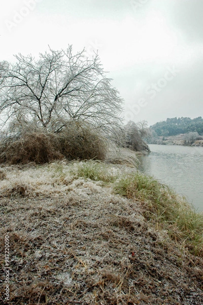 Obraz Snow and rime in rural China
