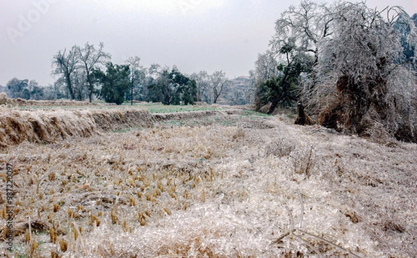 Obraz Snow and rime in rural China
