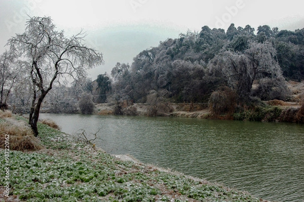 Obraz Snow and rime in rural China