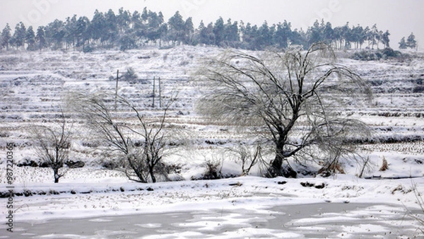 Obraz Snow and rime in rural China