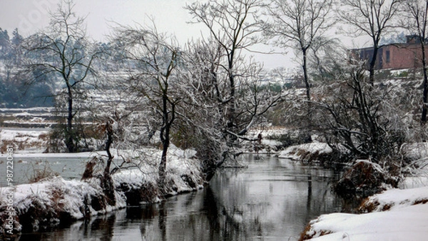 Obraz Snow and rime in rural China