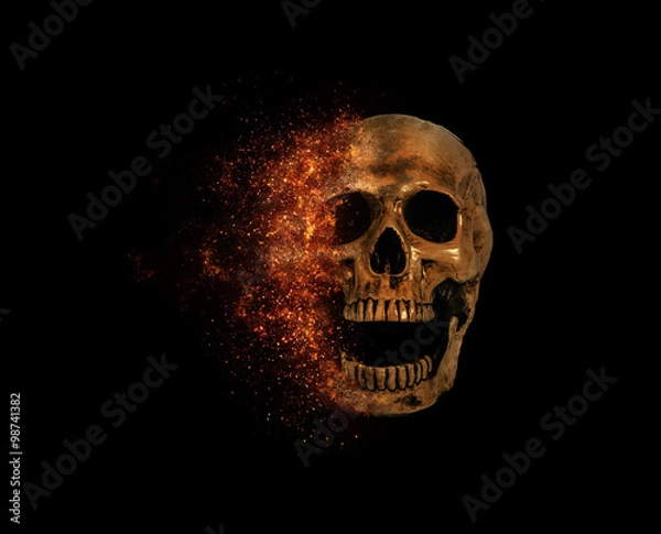 Obraz skull flames Fire effect