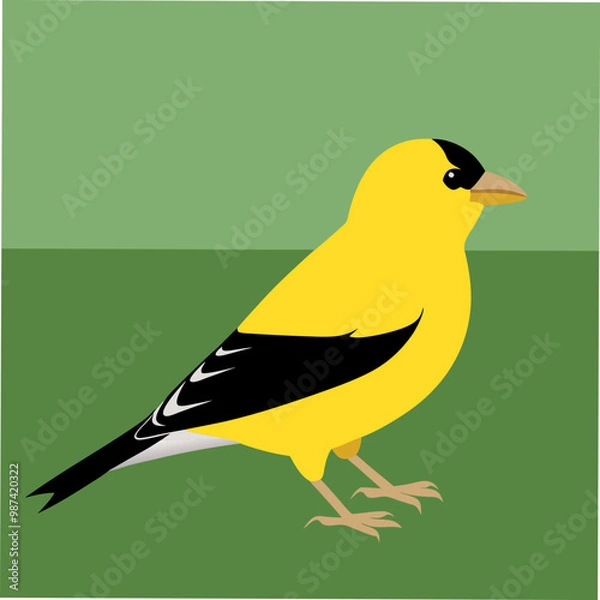 Obraz A vibrant vector illustration of an American Goldfinch bird, perfect for nature enthusiasts, bird watchers, and graphic designers seeking wildlife-themed digital art.