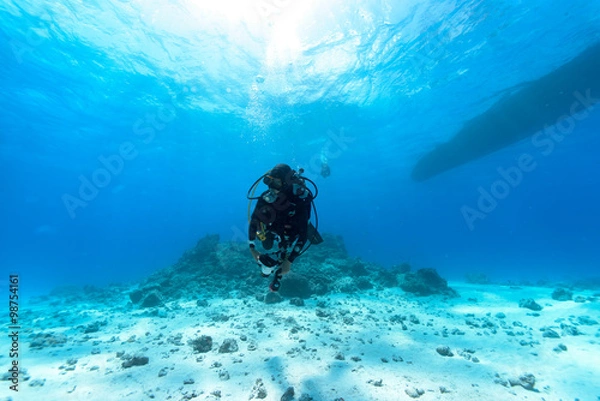 Obraz underwater explore