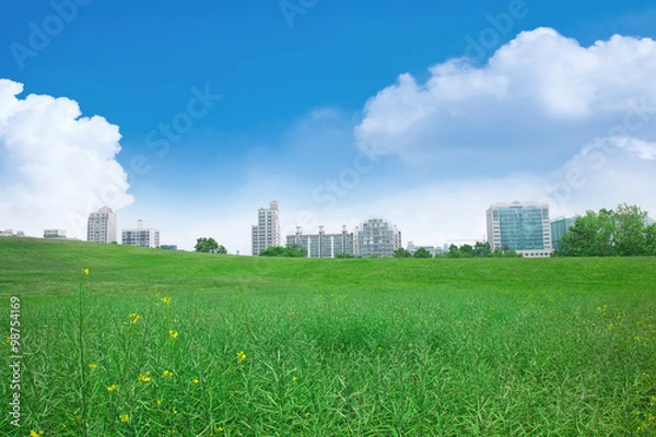 Fototapeta 초원과 건물