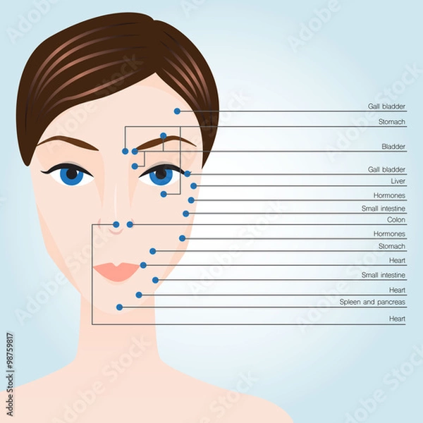Obraz Acupuncture points on face