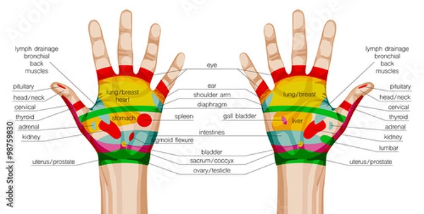 Obraz acupuncture hands scheme.