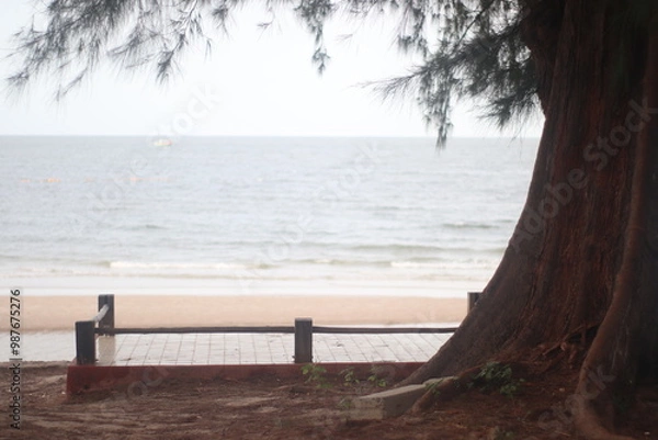 Obraz branch on the beach