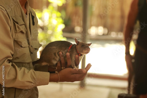 Obraz The Courageous Scent: A Hero in Small Steps