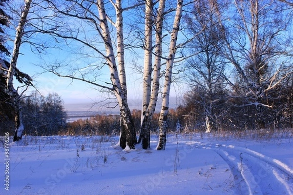 Obraz Зима в пригороде