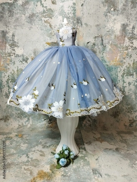 Obraz Robe de princesse