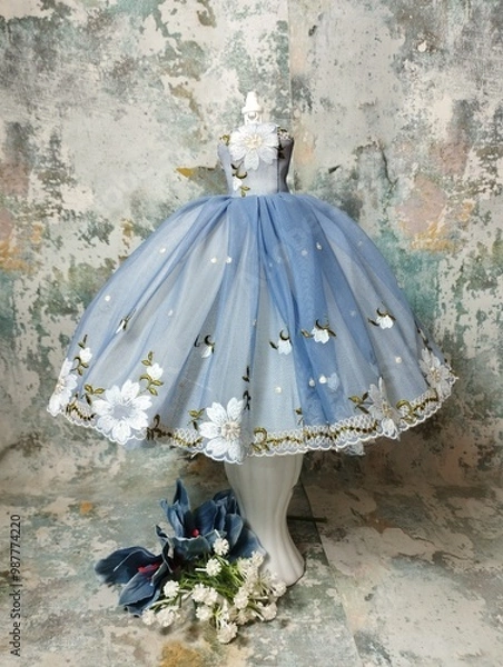 Obraz Robe de princesse