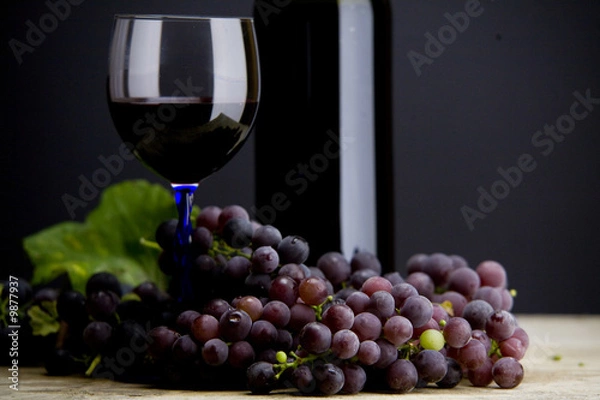 Obraz vino e uva