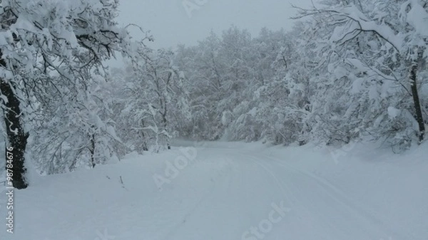 Obraz Winter landscape