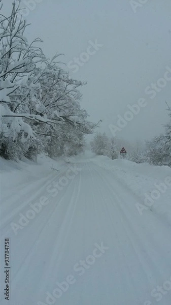 Obraz Winter landscape