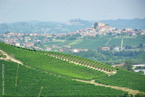 Fototapeta Paesaggi di Langhe, Piemonte