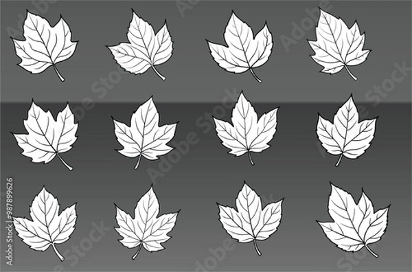 Fototapeta seamless pattern with black and white leaves