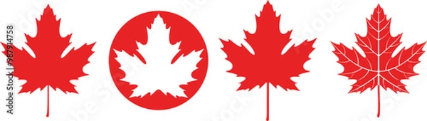 Obraz Red maple leaf. Isolated maple on white background