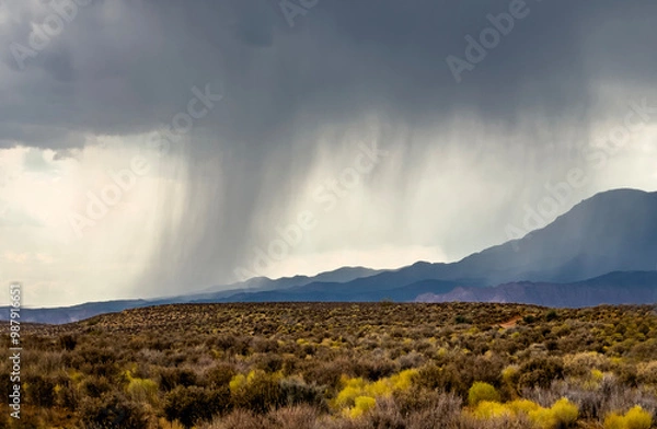 Obraz Utah Storm Clouds