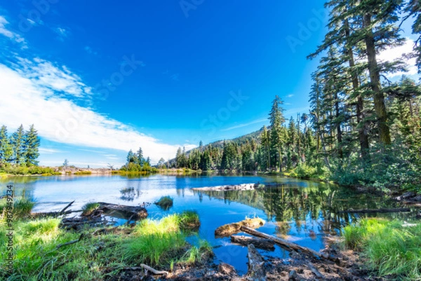 Fototapeta Crystal blue waters of a small mountain lake with pine tree reflections in the water