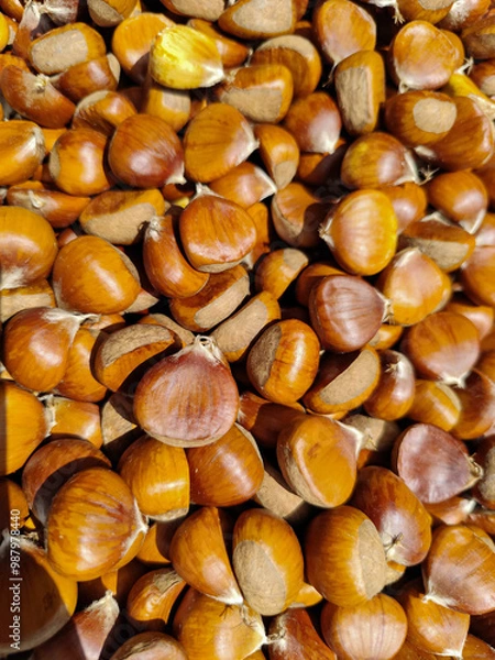 Fototapeta castañas