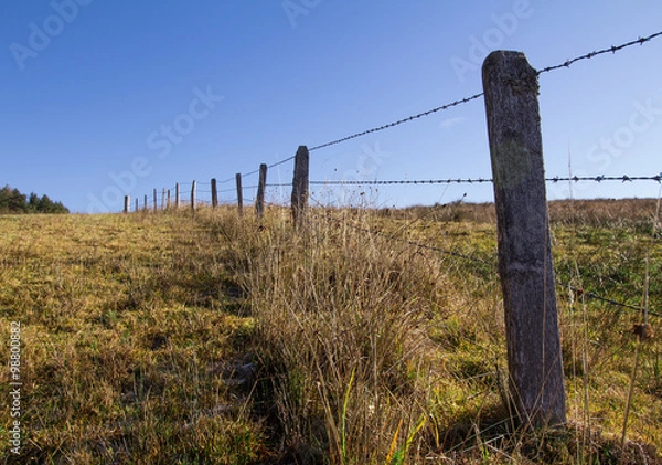 Fototapeta Weidezaun, Stacheldraht