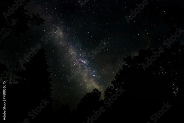 Obraz starry night sky