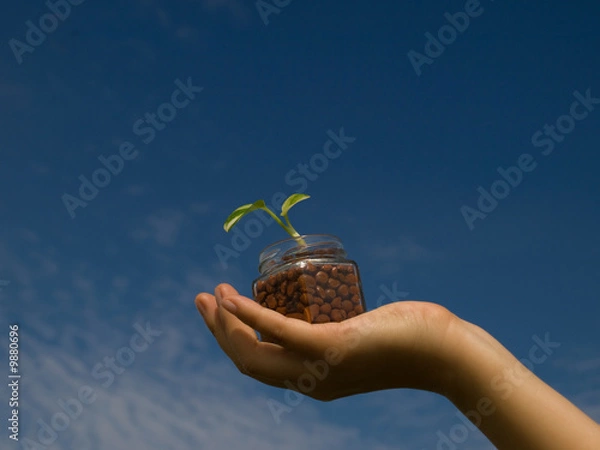 Obraz 植物を持つ手