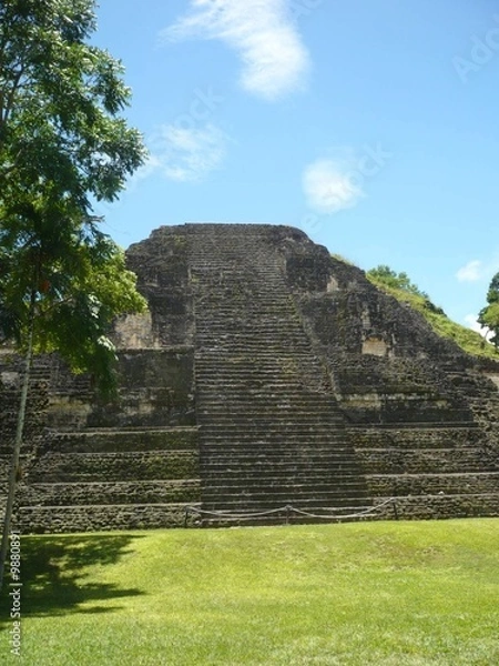 Obraz tikal 11