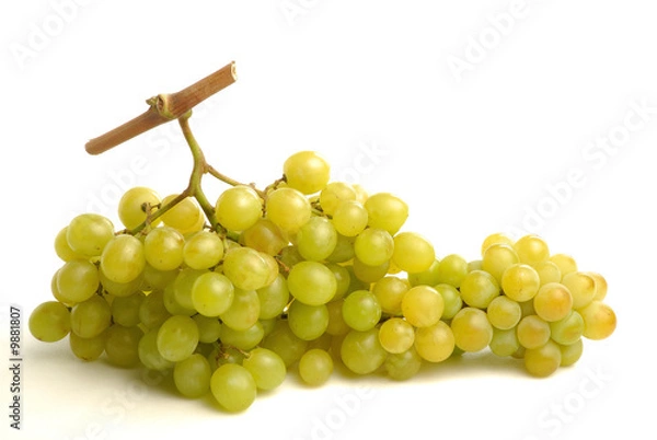 Obraz grappe de raisin blanc 3