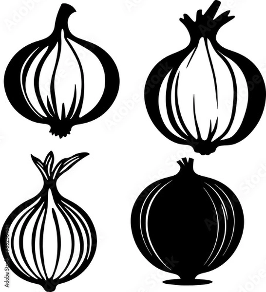 Fototapeta Onion silhouette vector