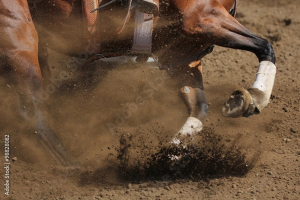 Obraz An action photo of a horse sliding and kicking up dirt in a horizontal close up view.