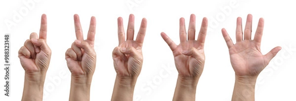 Obraz Group of hand show one, two, three, four and five finger gesture for counting number in communication signal concept. Background cutout object.