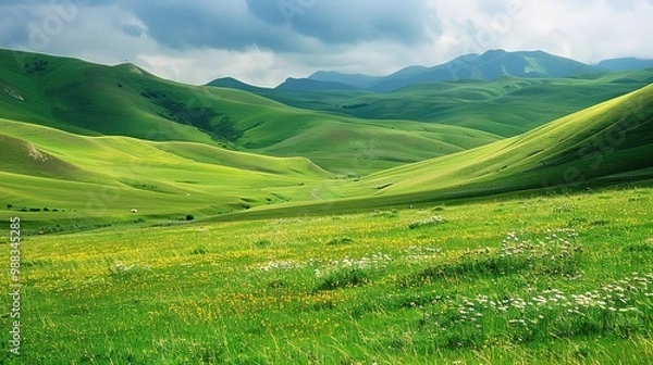 Fototapeta A glorious display of beautiful scenery with natural beauty and expansive grasslands. The grasslands are a vivid green, stretching as far as the eye can see. There are wildflowers dotting the landscap