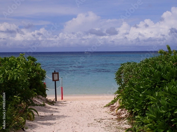 Fototapeta ビーチリゾートで夏休み