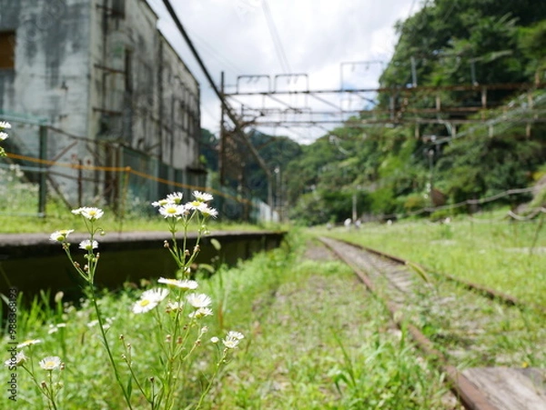 Fototapeta 廃線跡を巡って