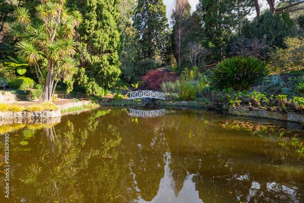 Fototapeta Scenic views of the The Lily Pond in the Royal Tasmanian Botanical Gardens, Hobart, Tasmania 