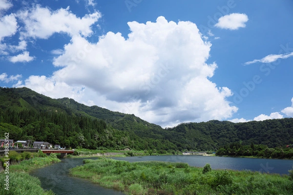 Fototapeta 田舎の夏