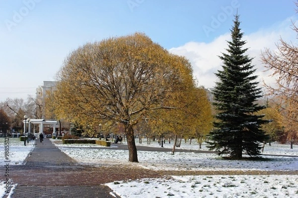 Obraz Зима в городском парке