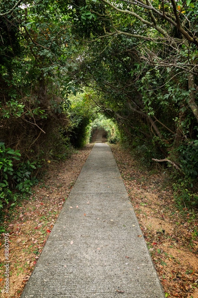 Fototapeta Walkway and tree tunnel at the Lamma Island in Hong Kong, China.