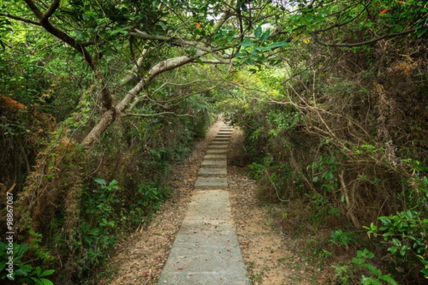 Fototapeta Walkway and tree tunnel at the Lamma Island in Hong Kong, China.