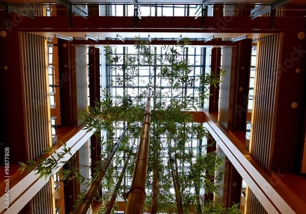 Obraz ロビーと竹林と格子