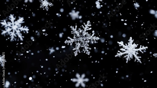 Fototapeta Snowflakes descending against a black backdrop large snowflakes isolated rain like effect overlay for artistic composition
