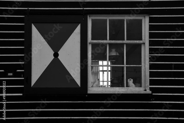 Obraz finestre