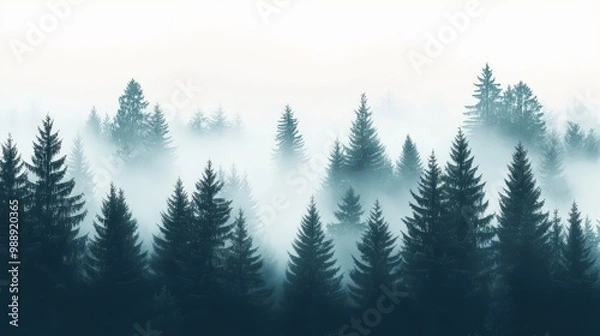Fototapeta Zoom-in of a foggy spruce forest, depicted in a clean and minimal vector style, showcasing the dense trees and mist with straightforward design elements and ample space for additional content