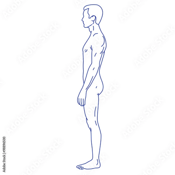Fototapeta Fashion man outlined linear template full length figure silhouet