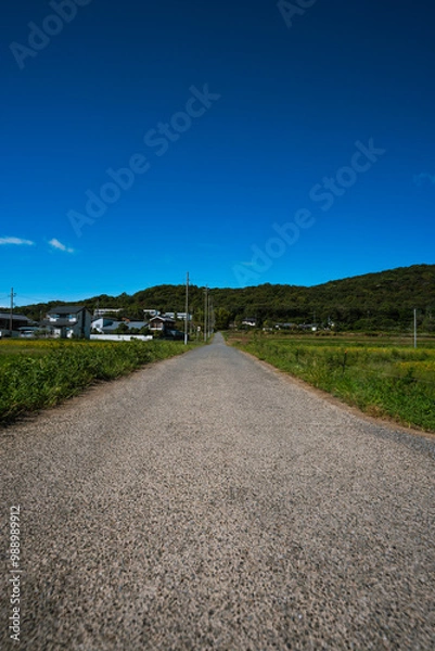 Fototapeta 田舎のあぜ道